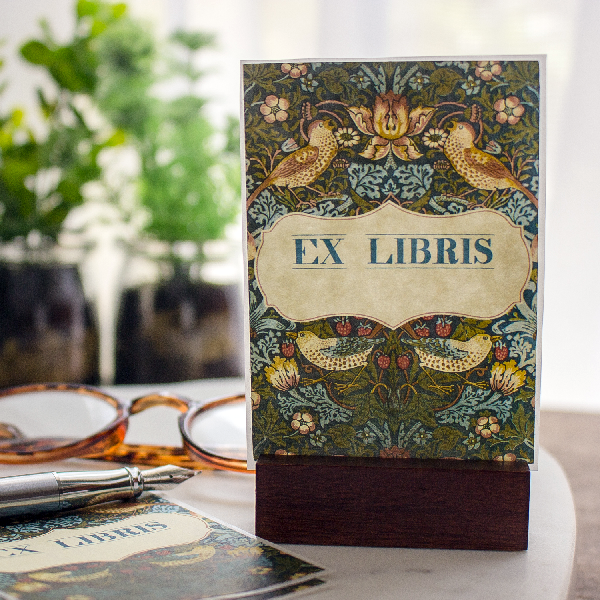 Sunshine and Ravioli - Wholesale Book Plate - Birds and Berries Bookplate Stickers2