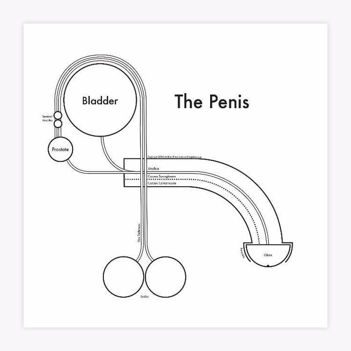 The Penis Print for wholesale by Archie's Press