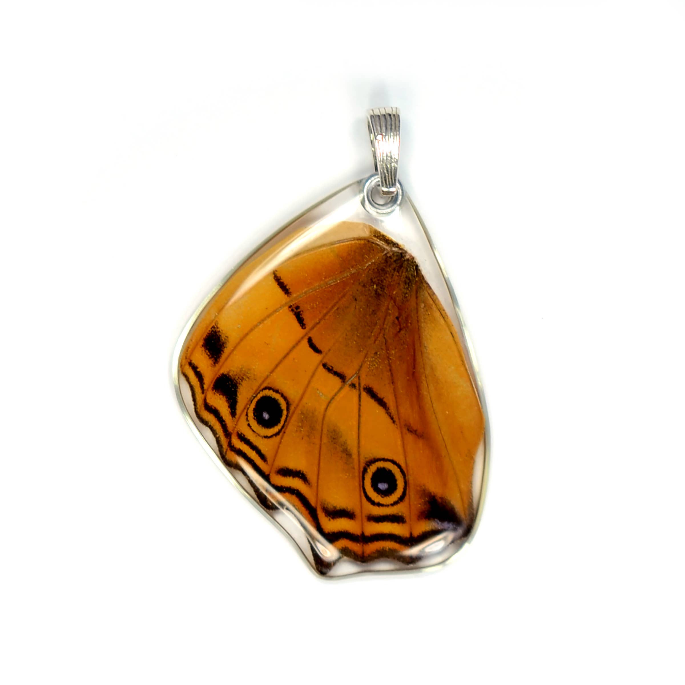 Wingstitution - Wholesale Individual Charm/Pendant - 0500 Butterfly Pendant Only, Cramer's Cruiser, Bottom Wing0