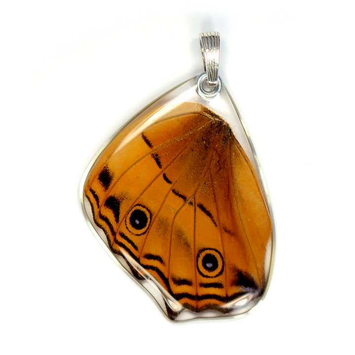 Wingstitution - Wholesale Individual Charm/Pendant - 0500 Butterfly Pendant Only, Cramer's Cruiser, Bottom Wing0