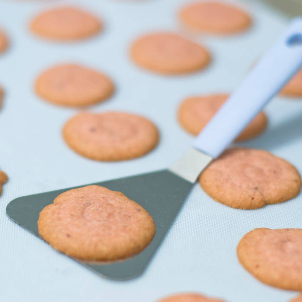 Vanilla Stainless Steel TSP™ Cookie Spatula / Turner 6" for wholesale on Faire1