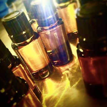 Lavande - Wholesale Essential Oil - Lavender Essential Oil 0.5oz1