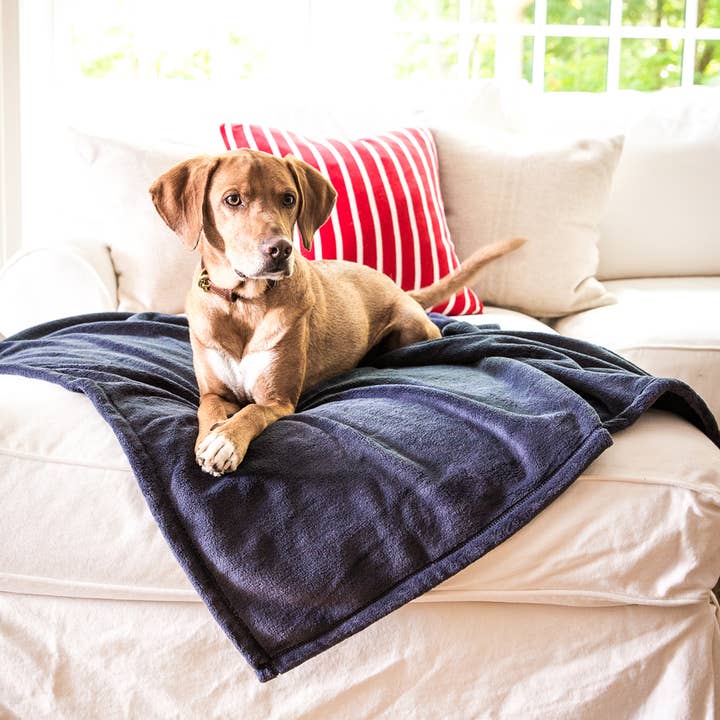 42” x 52” Pet Blanket for wholesale by American Blanket Company