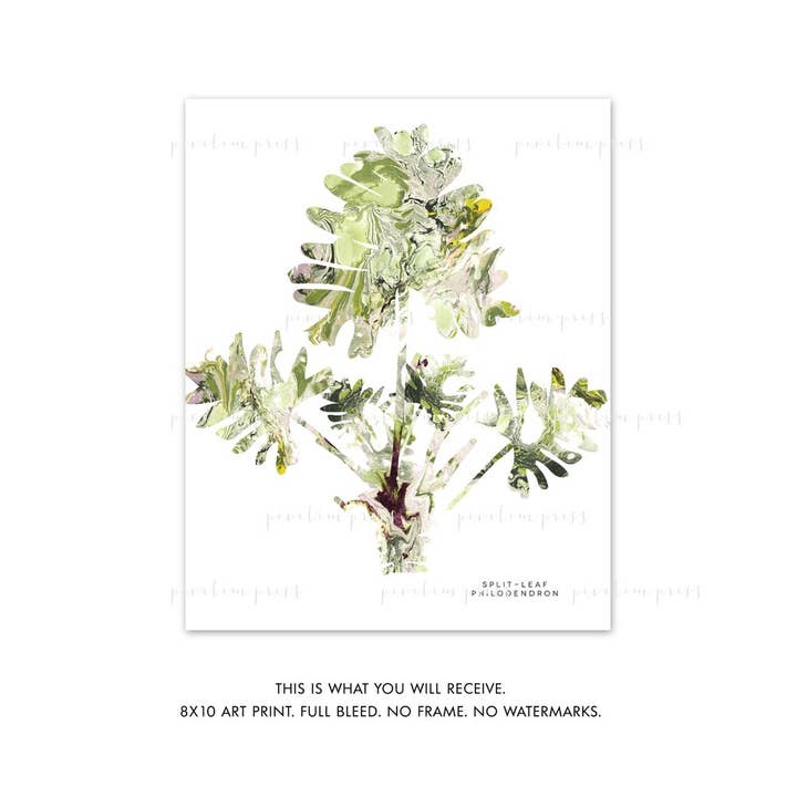 pixelimpress - Wholesale Art Print - Art Print Split Leaf Philodendron Marble 1