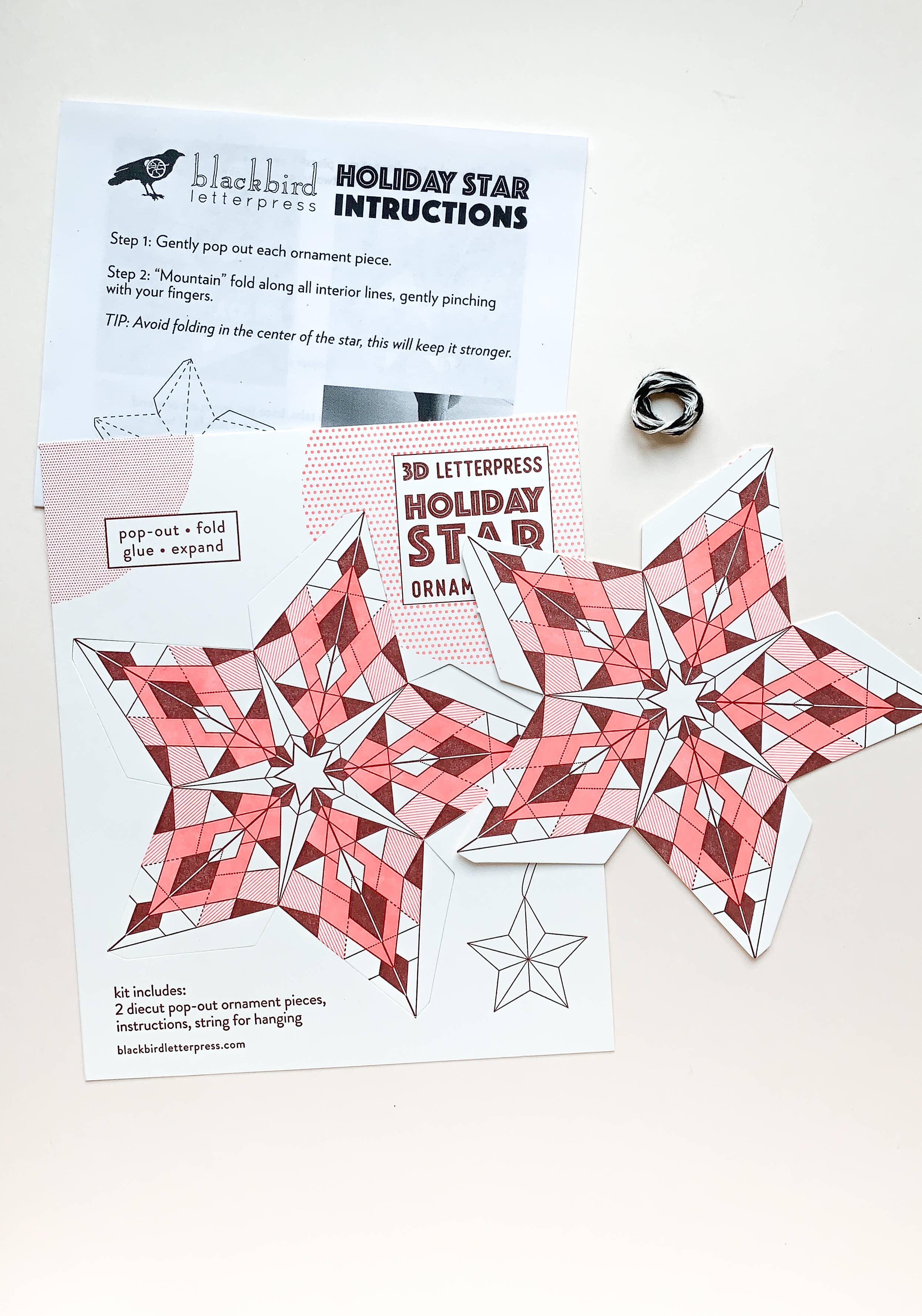 Blackbird Letterpress - Wholesale DIY Craft Kit - geometric star DIY ornament kit2