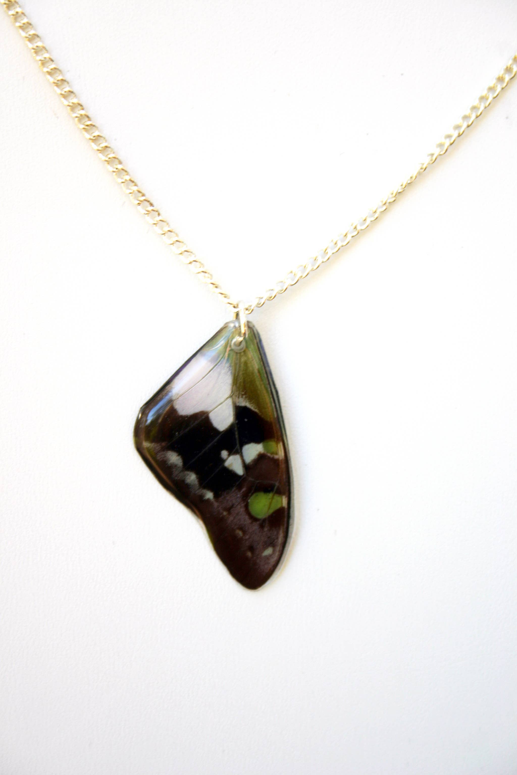 The Pretty Pickle - Wholesale Pendant/Charm Necklace - Purple Spotted Butterfly Wing Necklace- Forewing1