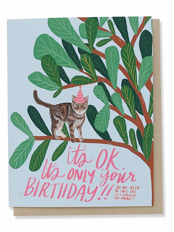 Scaredy Cat Birthday Card for wholesale by Thimblepress