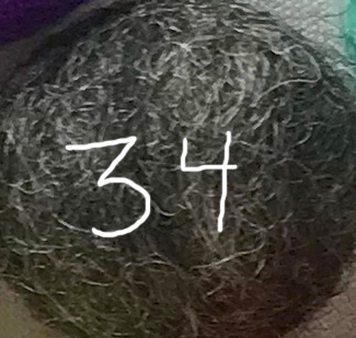 Little Lark - Wholesale Slingshot - Kids - Natural Wooden Slingshot, Unpainted wood with felt ammo33