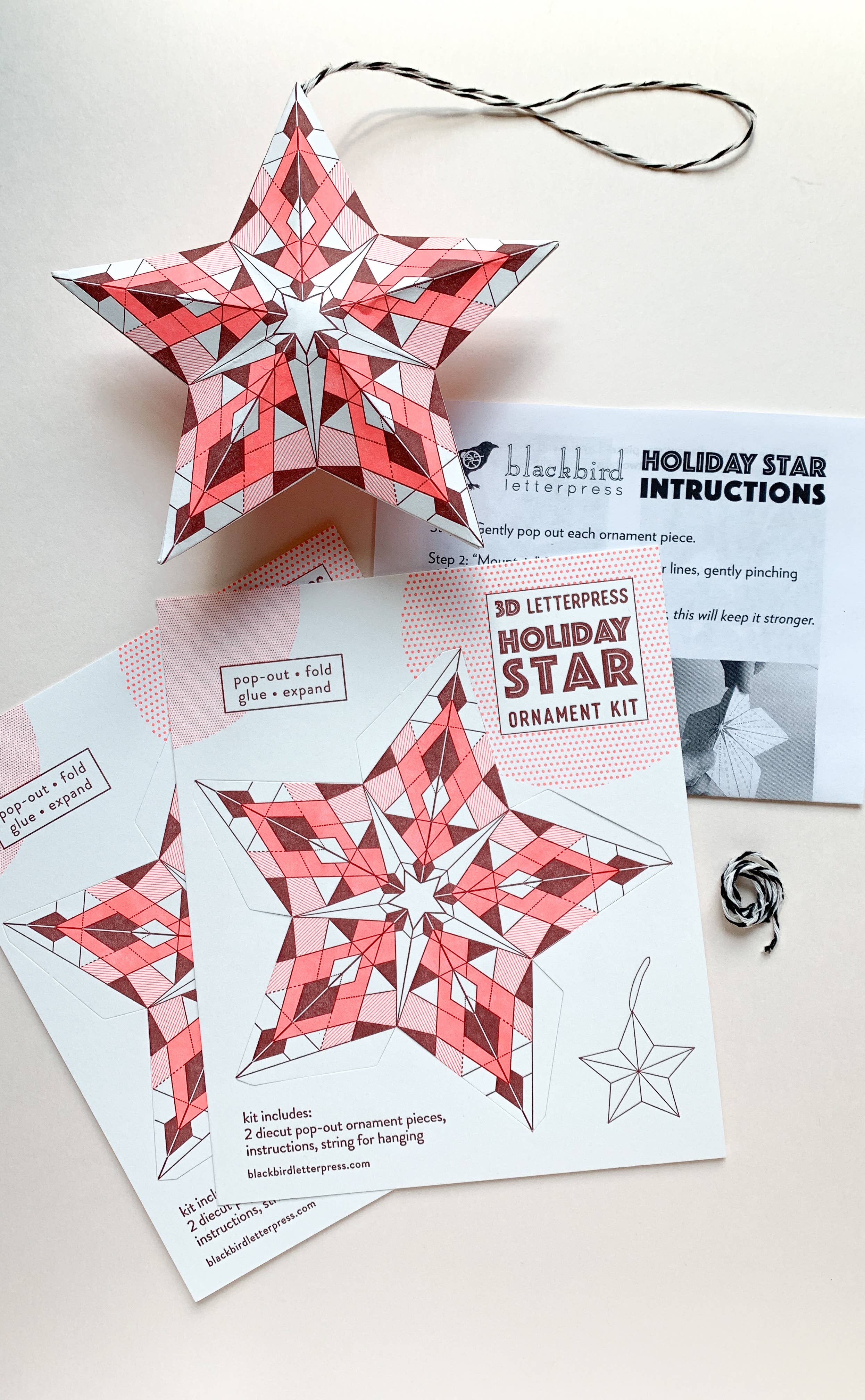 Blackbird Letterpress - Wholesale DIY Craft Kit - geometric star DIY ornament kit4