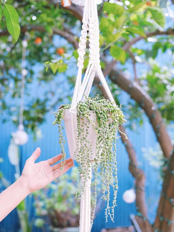 Jolie Macrame-plant hangend voor wholesale door Knotty Red Fox Macrame