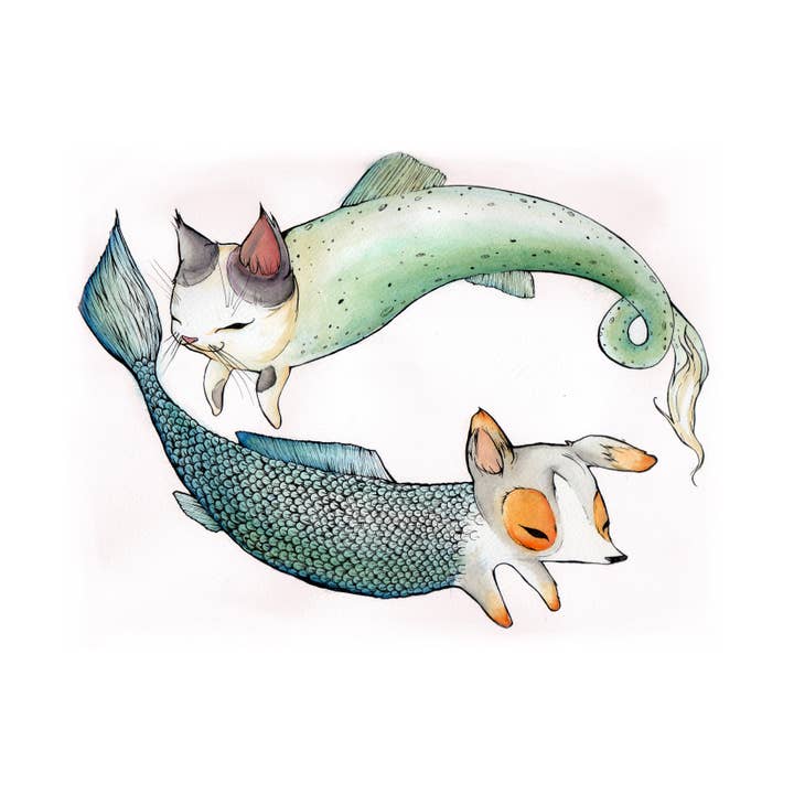 Marika Paz Illustration - Wholesale Art Print - 8.5" x 11" Dogfish Catfish Art Print