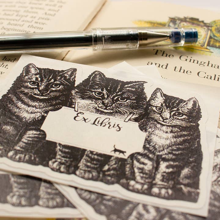 Sunshine and Ravioli - Vente Ex-libris - Autocollants Librairie Chat2