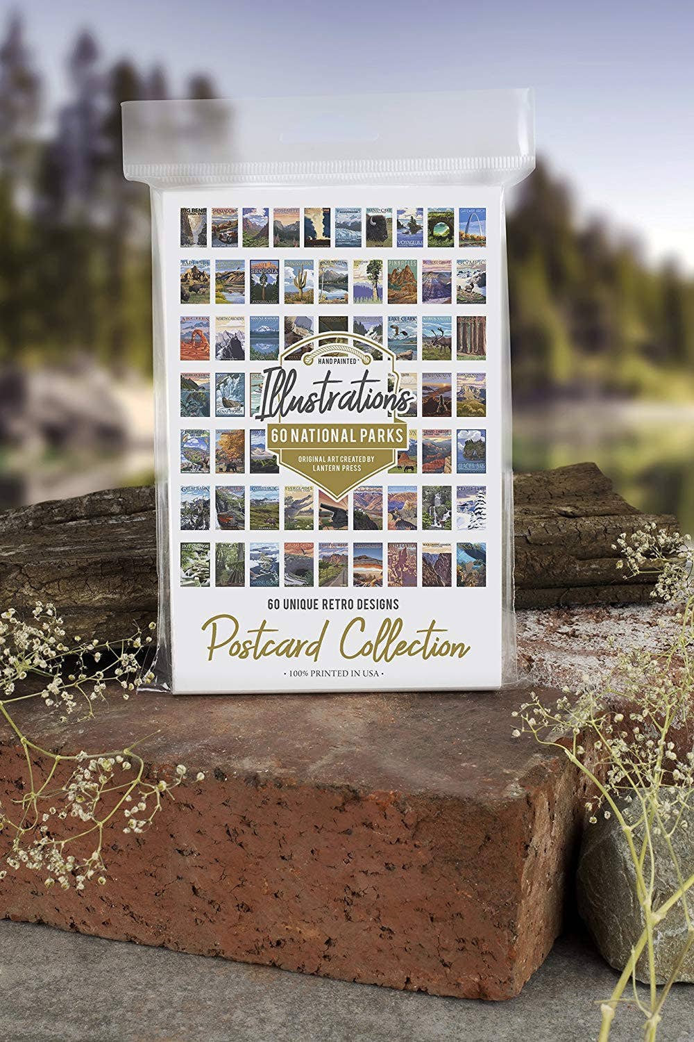 Lantern Press - Wholesale Postcard Set - 62 National Parks - Postcard Set of 62 Designs Lantern Press1