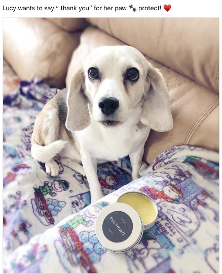 Hidden Vale Farm - Wholesale Pet Balm - Dog - Paw Balm for pets, made with all natural ingredients1