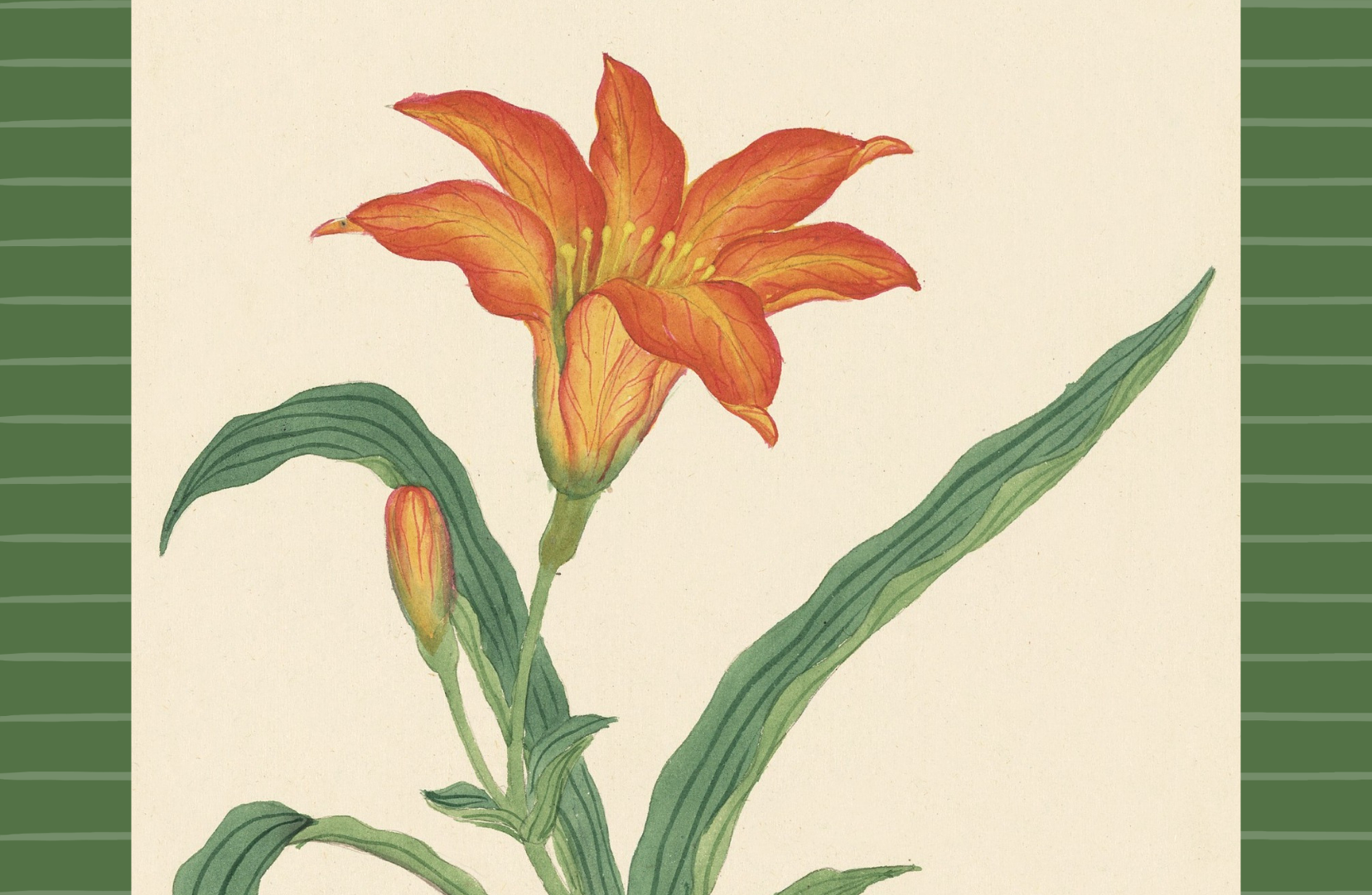 The Bedford Life - Wholesale Disposable Placemat - Paper Placemats : "Bouquet" 3 designs (8 of each)2