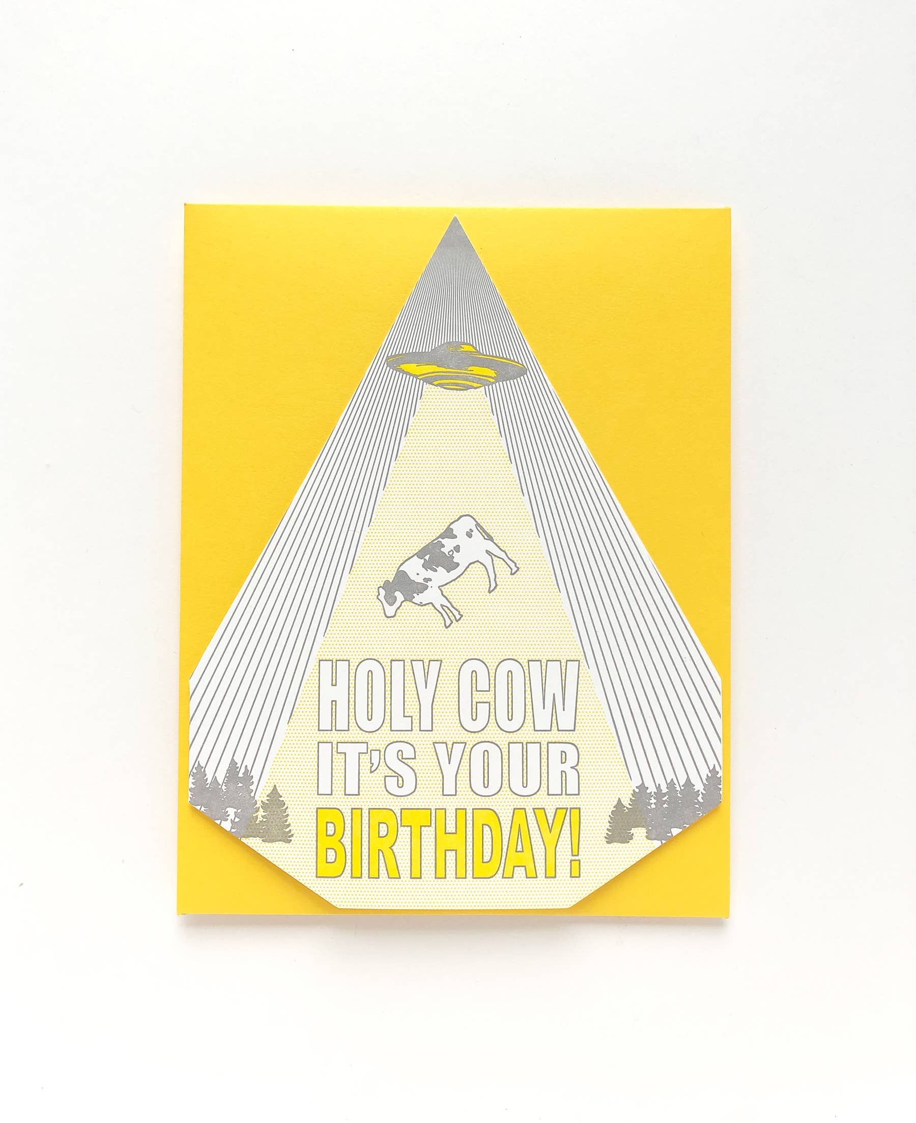 Blackbird Letterpress - Wholesale Birthday Card - holy cow it's your birthday card2