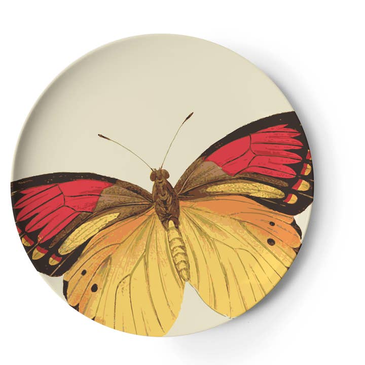 THOMASPAUL - Wholesale Dinner Plate - Metamorphosis Side Plates Set of 44