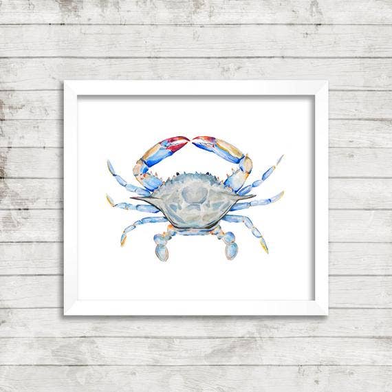 16" x 20" Dennis Blue Crab Print for wholesale by Violette Tide Studios