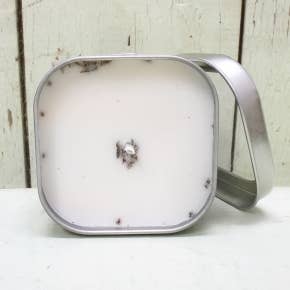 Green Daffodil Bath & Body - Wholesale Jar/Filled Candle - Lilac Soy Candle in Large Tin- Spring Floral3