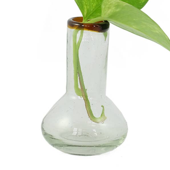 Jarrón de Bulbo de Vidrio Pequeño Ámbar Borde | Jarrón para Flores | Soplado a Mano para venta al por mayor de Sobremesa