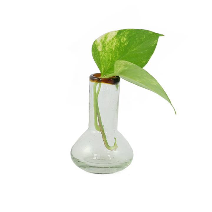 Amber Rim Small Glass Bulb Vase | Bud Vase | Handblown for wholesale by Sobremesa