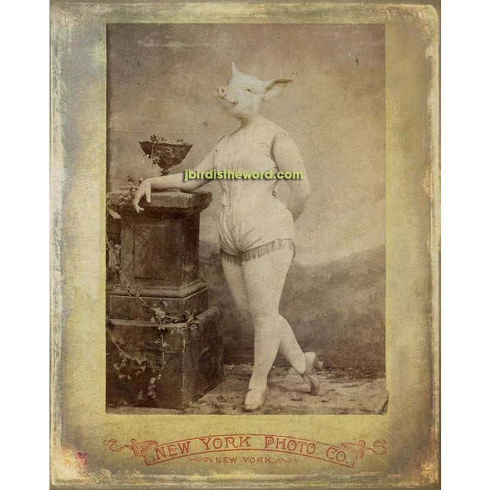 The Wild Oddisorium - Wholesale Art Print - Pig Ballerina Print, Dining Room, Kitchen Farm Theme