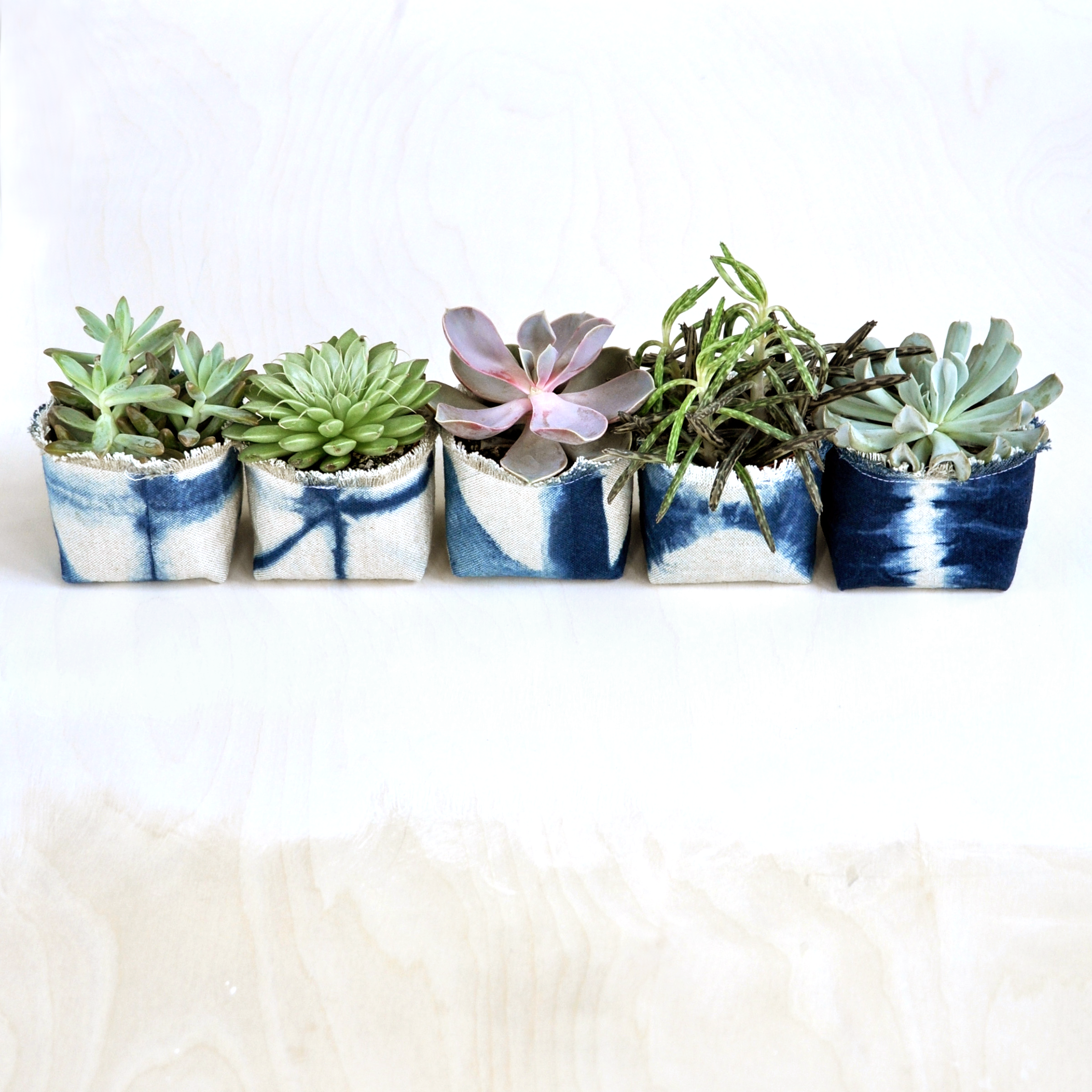 Gray Green Goods - Wholesale Plant pot - Shibori Indigo Canvas Planter—2.5"3
