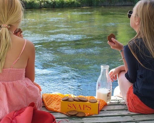 Bunches & Bunches Ltd. - Wholesale Cookie - SNAPS - GINGER COOKIES6