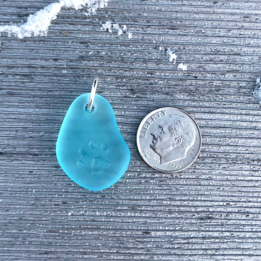 Wave of Life - Wholesale Pendant/Charm Necklace - Paw Print Necklace (16 Inch Chain)2