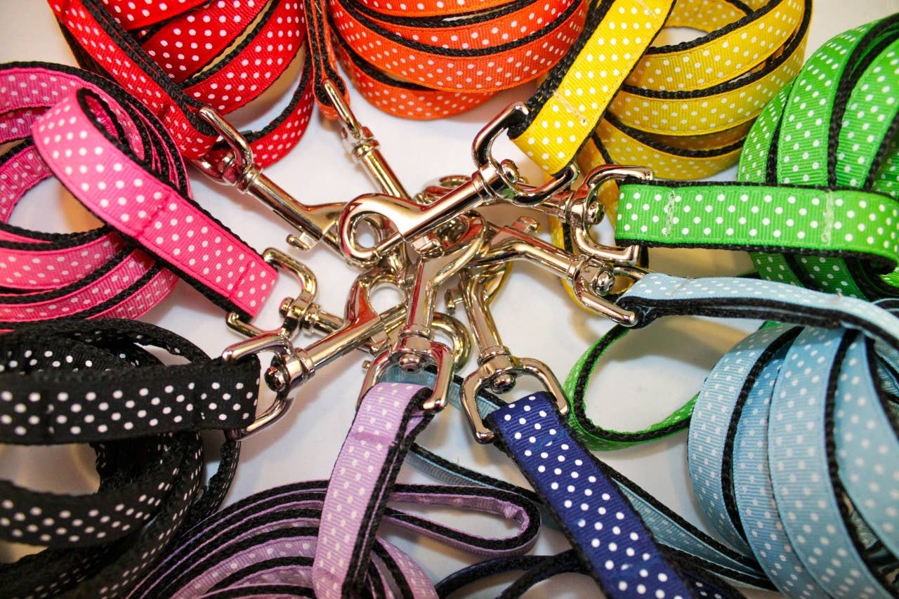 Sophisticated Pup – Großhandel Haustierhalsband – Hund – Regenbogen Dot Halsband und Leine Collection groß3