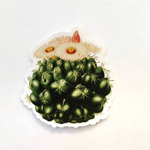 Pink Flower Vintage Vinyl Plant Sticker for wholesale by Pergamo Paper Goods