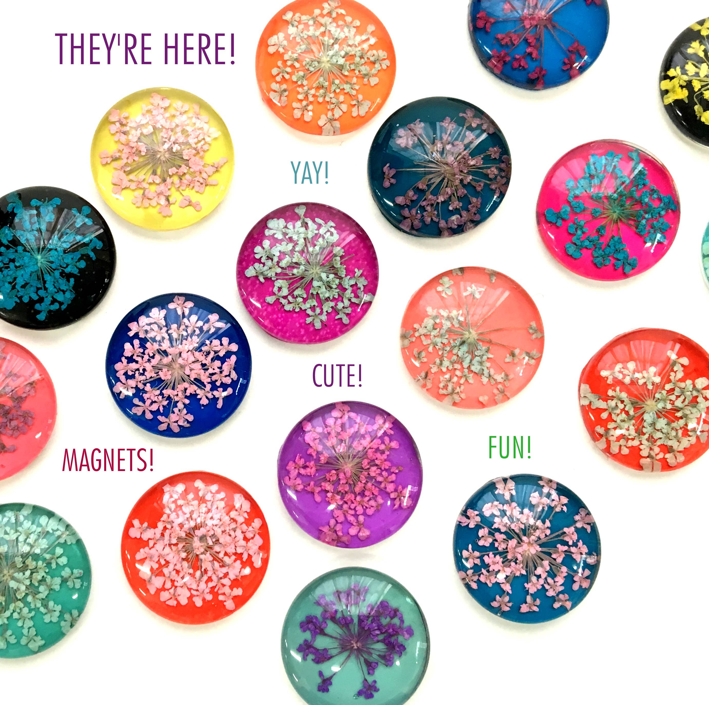 Tanner Glass - Wholesale Magnet - Magnets:  Pressed Flowers Set of 42