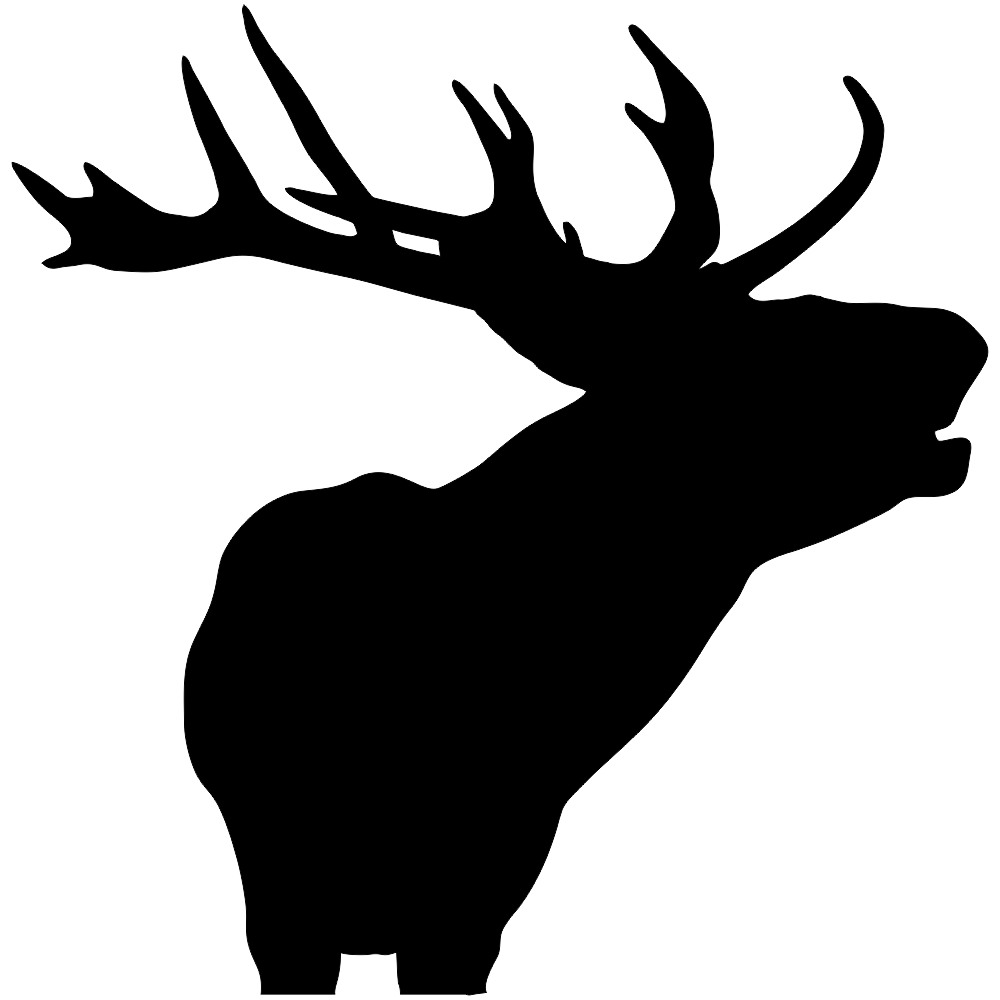 G3 Studios - Wholesale Trivet - Trivet - Nature Animals6