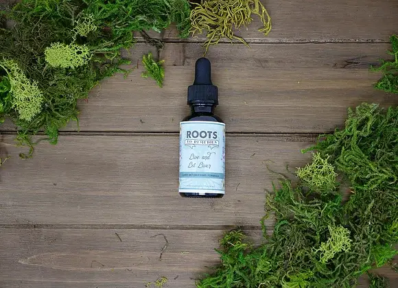 Roots To Remedies - Wholesale Tincture - 1 oz Liver Detoxifying Herbal Tincture1