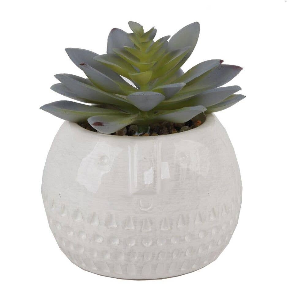 Silk Flower Depot - Wholesale Artificial Plant - Succulent in Round Cool Face Ceramic0