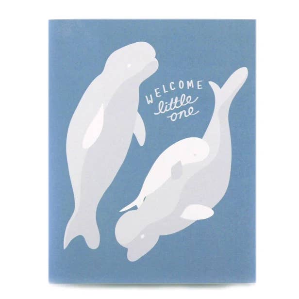 Baby Beluga - Babykort for engroshandel hos Dote Note + Gift