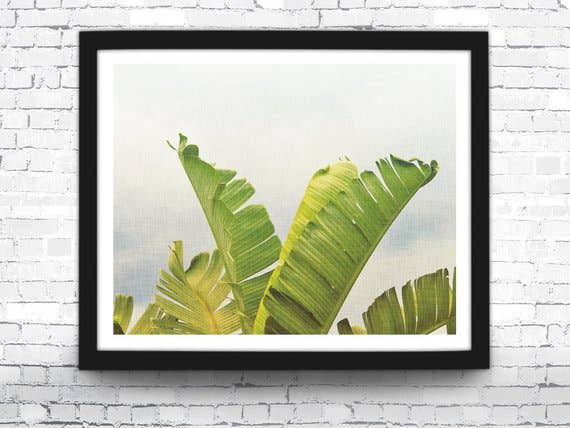 The National Anthem - Wholesale Art Print - 8” x 10” Tropical Leaves Art Print0