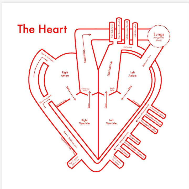 The Heart Print for wholesale by Archie's Press
