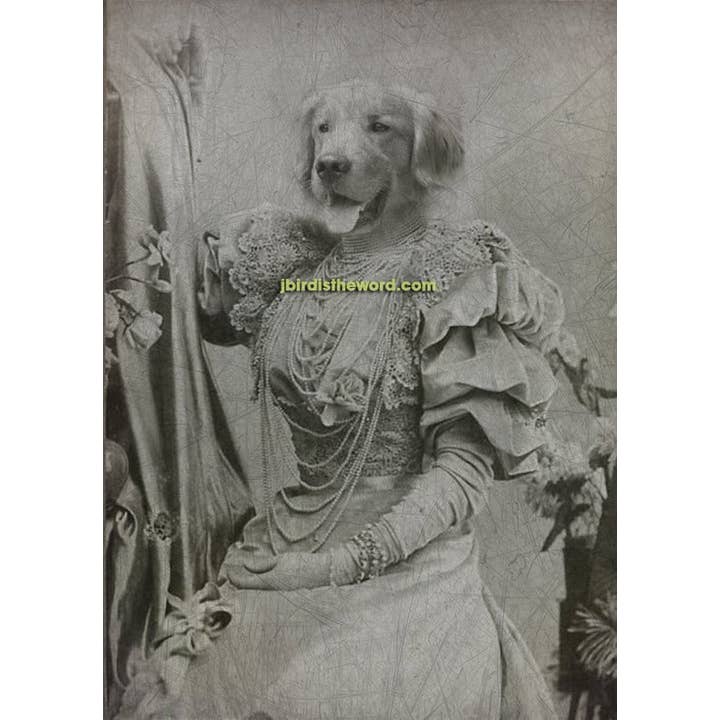 The Wild Oddisorium - Wholesale Art Print - Retriever Girl Print