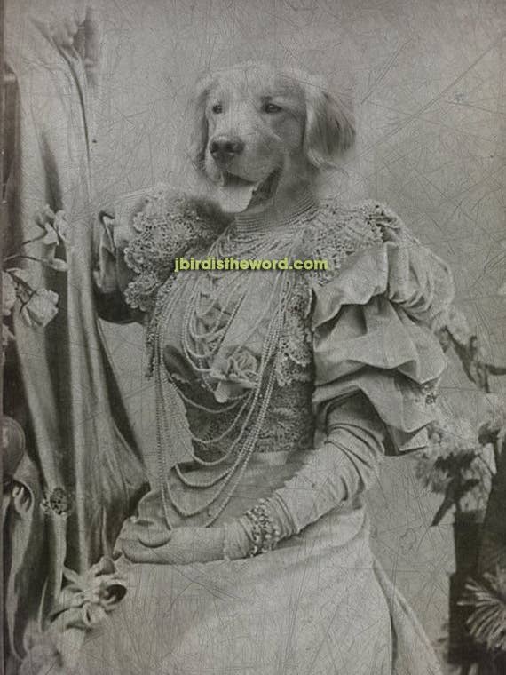 5" x 7" Retriever Girl Print, Creepy Cute, Lab Dog Puppy for wholesale by The Wild Oddisorium