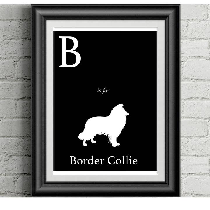 B is for Border Collie Alphabet Art Imprimé pour la vente par Sophisticated Pup