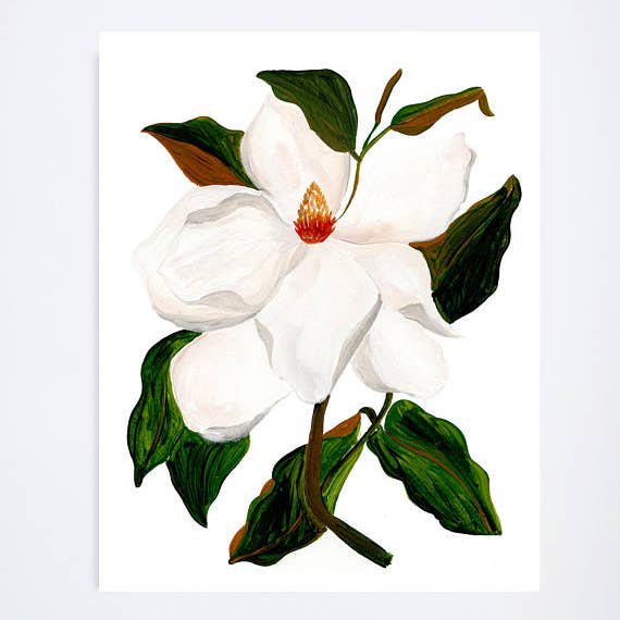 Magnolia Floral 8X10 Art Print for wholesale by Shannon Kirsten Illustration