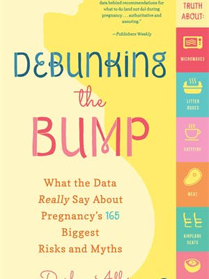 Debunking the Bump for wholesale by Familius, LLC