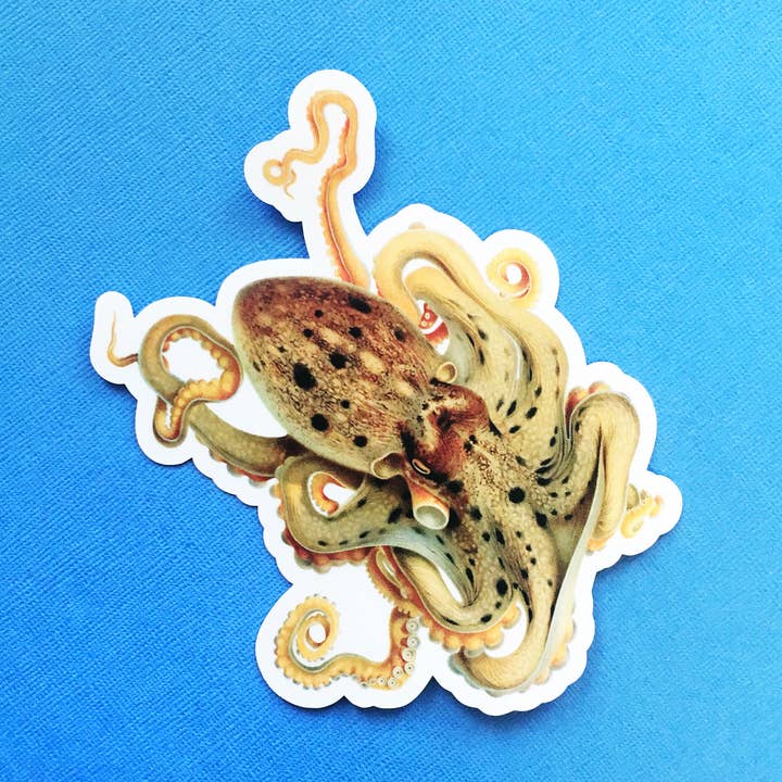Octopus Sticker for wholesale by Pergamo Paper Goods