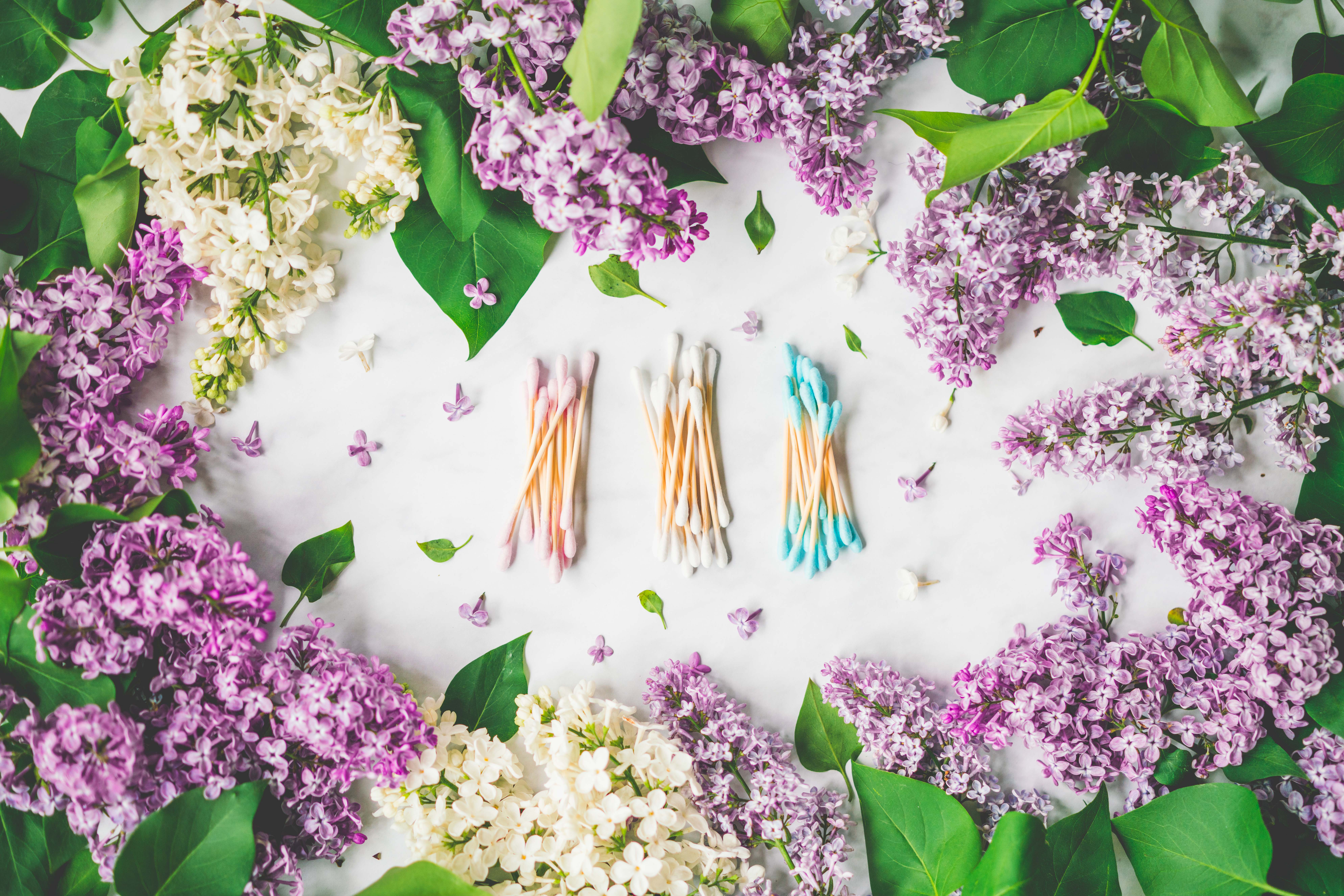 The future is bamboo - Wholesale Cotton Swab/Q-Tip - Bamboo Cotton Swabs - 100x2