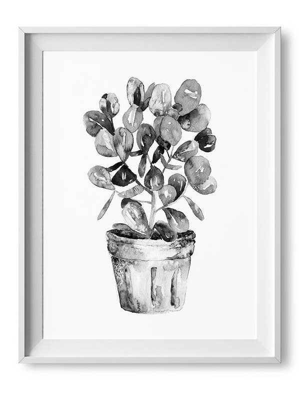 8” x 10” Black and White Autograph Plant Watercolor Print for wholesale by Lilac Paperie