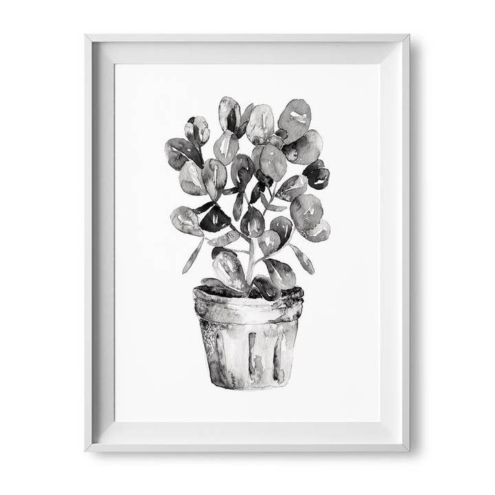 8” x 10” Black and White Autograph Plant Watercolor Print for wholesale by Lilac Paperie