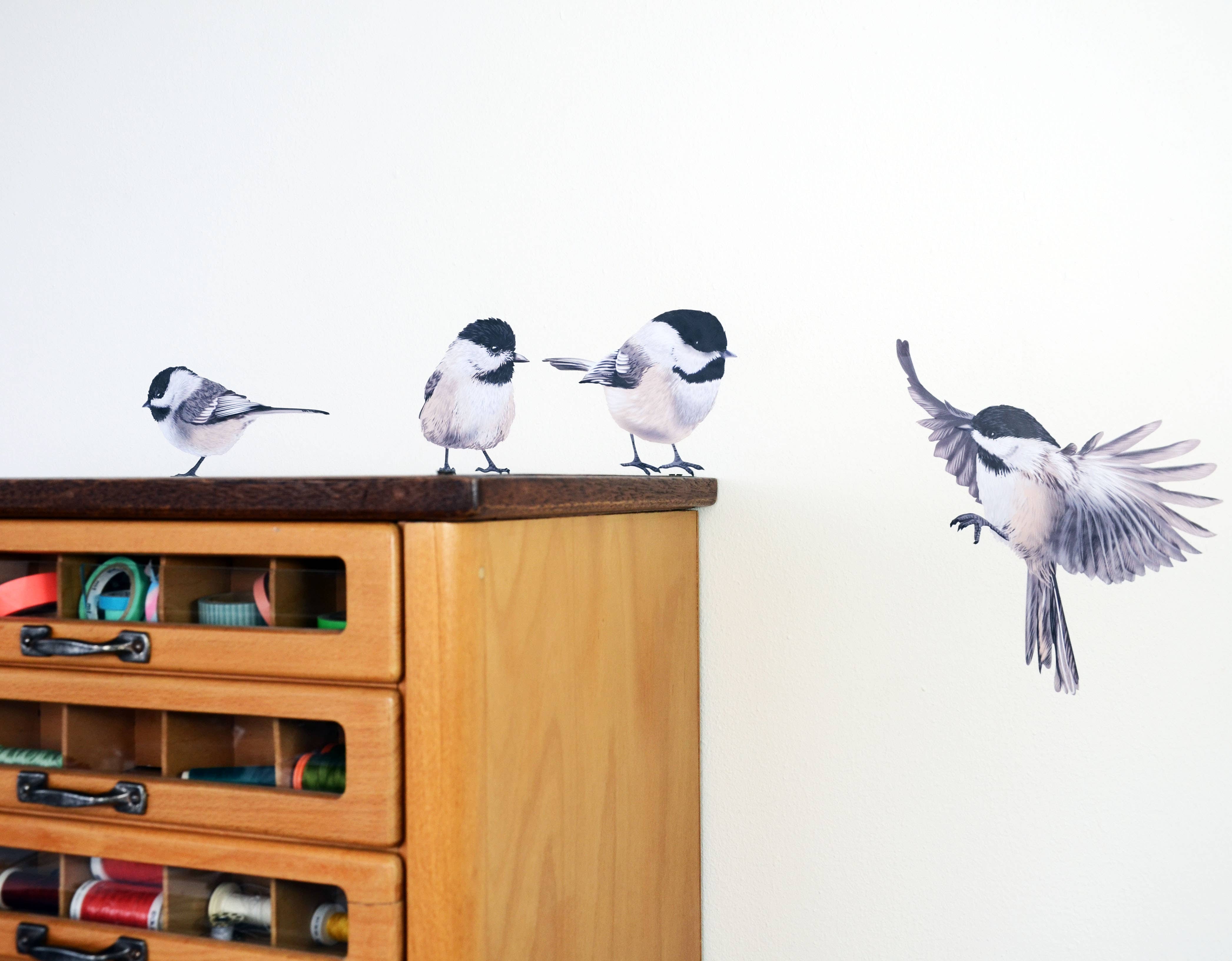 MYRTE – Decalque de janela/parede por atacado – Adesivo de Parede Ilustrações de Chapins6