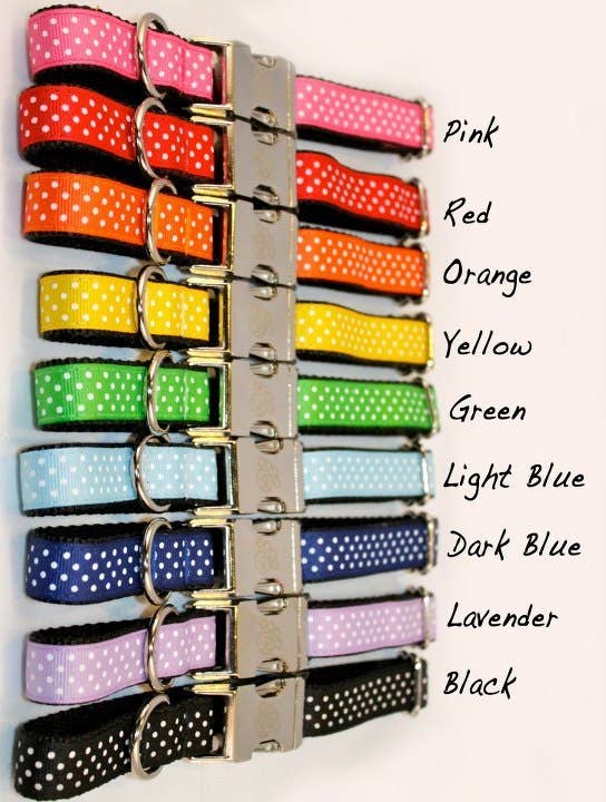 Sophisticated Pup – Großhandel Haustierhalsband – Hund – Regenbogen Dot Halsband und Leine Collection groß4