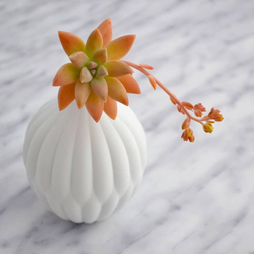 Matte white Textured Porcelain Vase - Petite for wholesale on Faire6